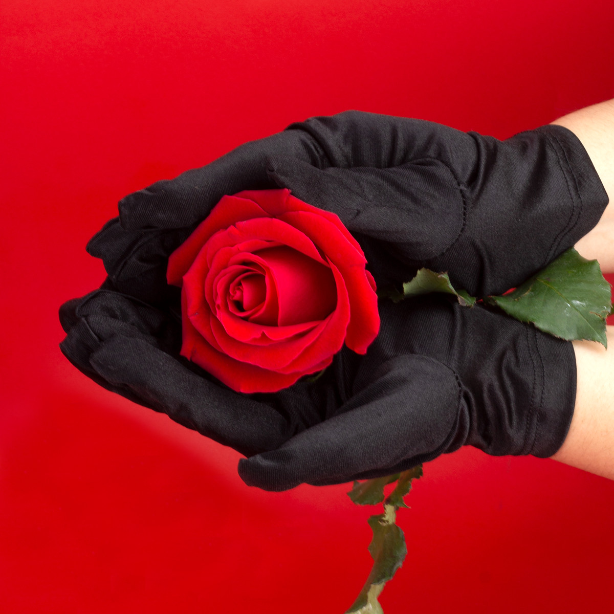 Kit Vampire Deluxe com Algemas, Separador, Par de Luvas e Chicote em Couro - 4 Itens - 3