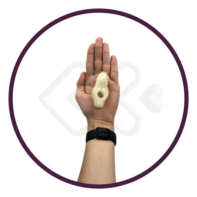 Anel Peniano Esticável com Cerdas Estimuladoras - La Pimienta - 7,3 x 3,3 cm | Cores Sortidas