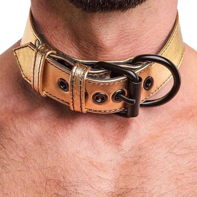 Foto 2 do produto Lovetoy Bondage Fetish Collection - Coleira em Couro Sintético com Corrente de Metal | Cor: Dourado
