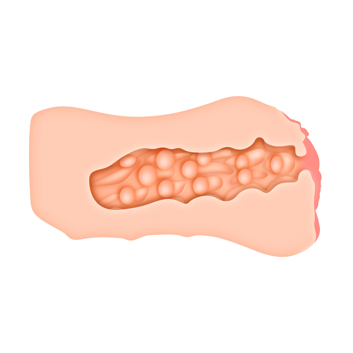 Masturbador Realista em TPE com Formato de Vagina e Texturização Interna - Zero Tolerance Jenna Haze Movie Download with Realistic Vagina Stroker | 12,2 x 3,2 cm - 3