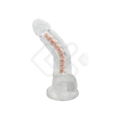 Foto 3 do produto Prótese Peniana Realística Translúcida com Escroto, Vértebra e Base em Ventosa - Powerful Suction Base | 12,7 x 3,6 cm