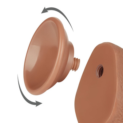 Foto 2 do produto Prótese Peniana Curvada em TPE com Escroto, Vertebra e Ventosa Removível - LoveToy Sliding-Slin Dong 7.5'' | 13,5 x 3,4 cm | Disponível em 3 Cores