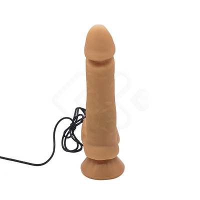 Foto 5 do produto Prótese Peniana Realística com Escroto, Base em Ventosa, Vibração Multivelocidade e Controle Remoto com Fio - Pura Luxúria | 13,5 x 2,8 cm