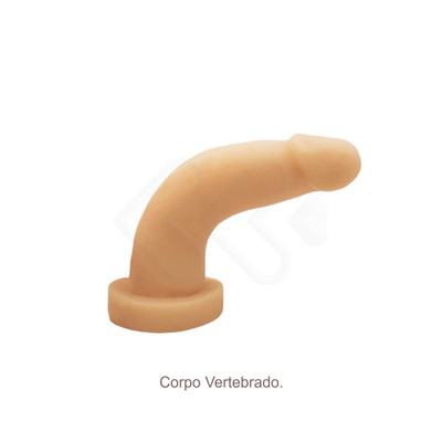 Foto 5 do produto Prótese Realística em Cyberskin com Vértebra Interna e Cinta Peniana Ajustável - CyberDildo 6 | 12,6 x 2,9 cm