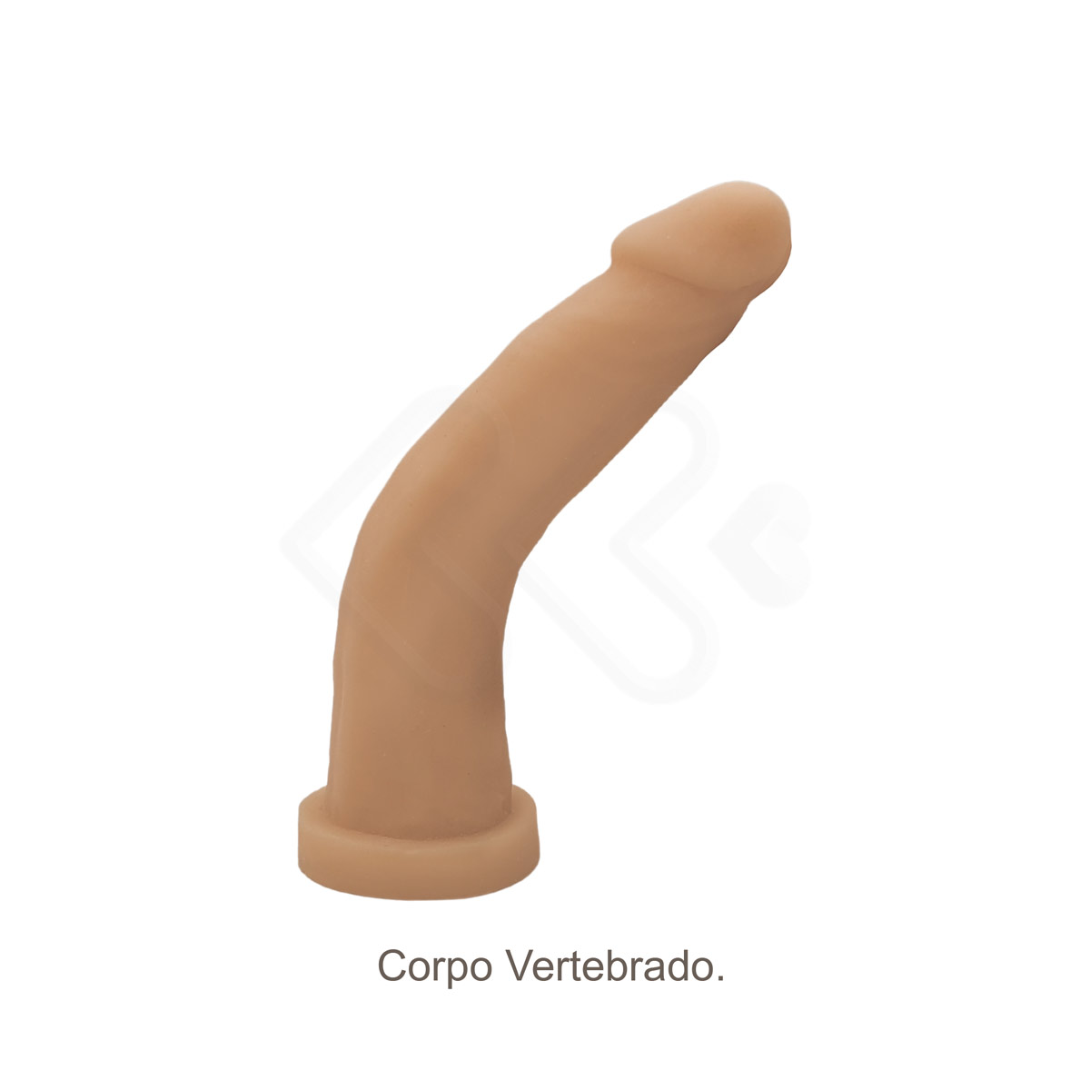 Prótese Realística em Cyberskin com Vértebra Interna e Cinta Peniana Ajustável - CyberDildo 10 | 19 x 3,6 cm - 4