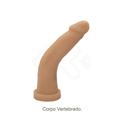 Foto 4 do produto Prótese Realística em Cyberskin com Vértebra Interna e Cinta Peniana Ajustável - CyberDildo 10 | 19 x 3,6 cm