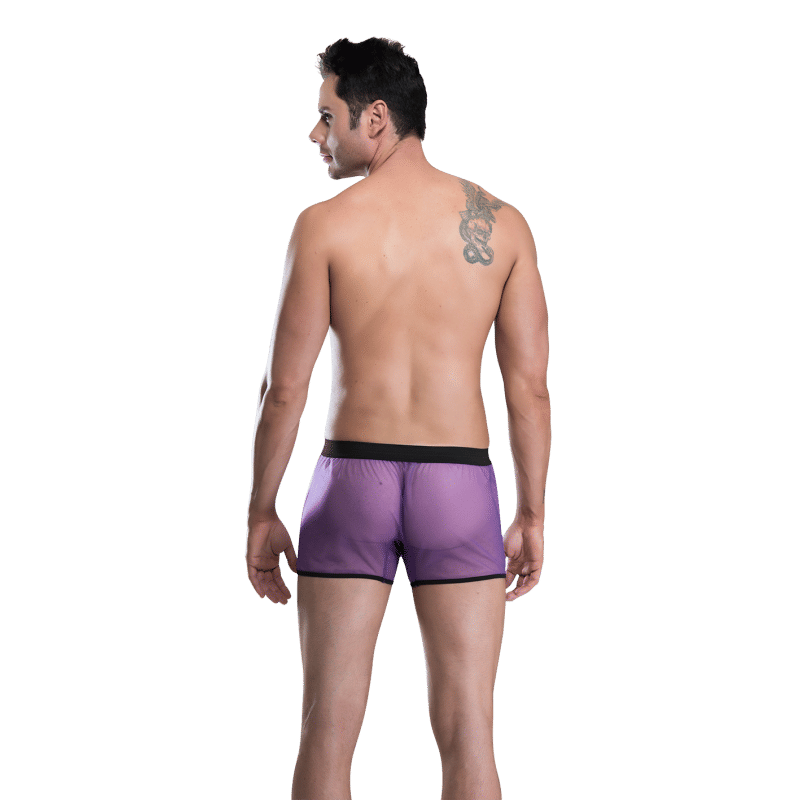 Sexy Fantasy - Cueca Fetiche em Cetim e Tule Transparente - 2