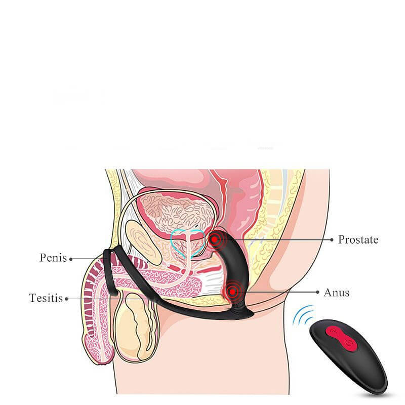 S-Hande Lanco-RCT - Plug Anal Estimulador de Próstata Recarregável, Feito em Silicone com 9 Modos de Vibrações, IPX7 e Controle Remoto sem Fio - 12 x 2,8 cm - 3