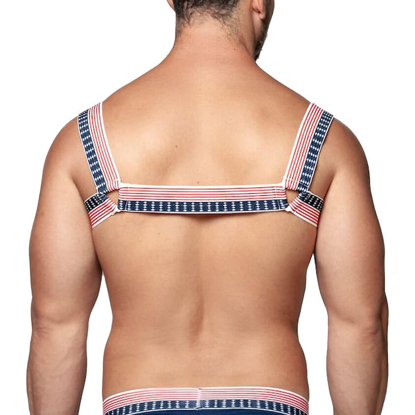 Arreio Harness América em Elástico com Triângulos - Steves Designer - 3