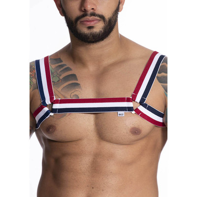 Steves Designer - Arreio Harness Masculino em Elástico com Argola em Triângulo | Cor: Tricolor