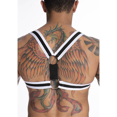 Foto 2 do produto Arreio Masculino Harness em Elástico Bicolor com Argolas - Steves Designer | Tamanho Único