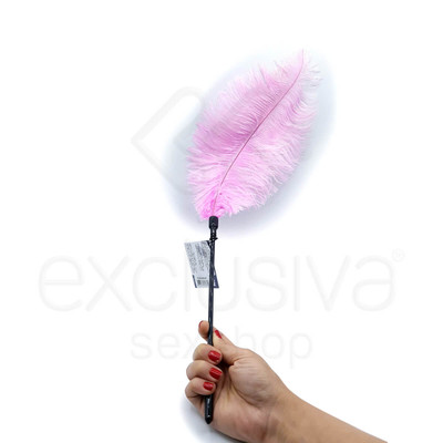 The Sex Mission Fetish - Pena Rosa com Cabo de Chibata