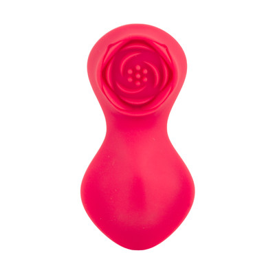 Foto 5 do produto Vibrador para Calcinha em Silicone com 12 Modos de Vibração, Fixador Magnético, Recarregável e Controle por App - Paraty App | 8,5 x 4,2 cm