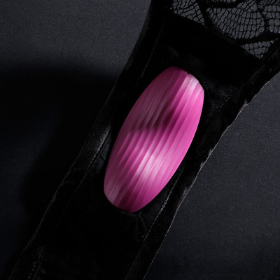 Foto 2 do produto Vibrador de Clitóris Recarregável com 11 Modos de Vibração e Calcinha - Svakom Edeny |  9 x 3 cm