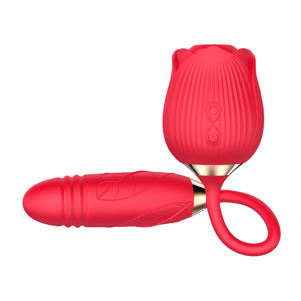 Vibrador Duplo Flexível em Silicone com 10 Tipos de Movimento de Vai e Vem e Pulsações - Vibrator | Disponível em 2 cores - 11