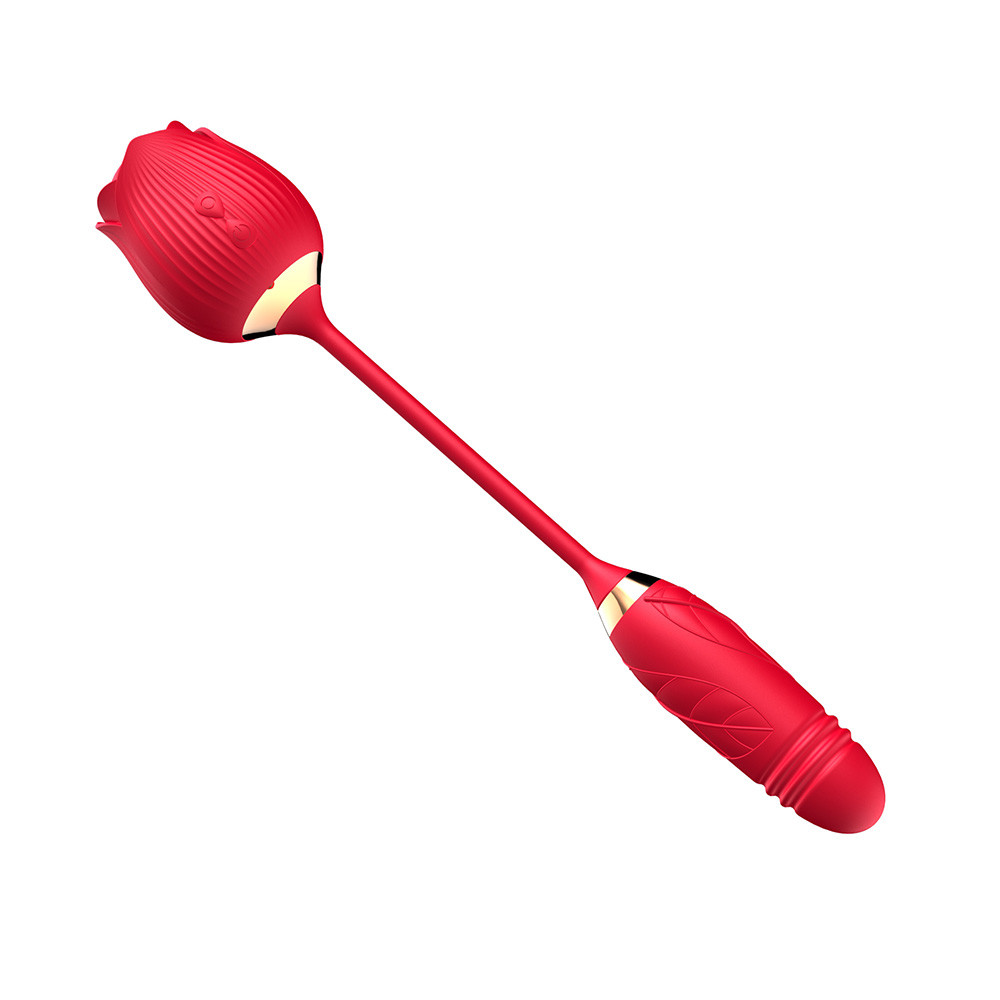 Vibrador Duplo Flexível em Silicone com 10 Tipos de Movimento de Vai e Vem e Pulsações - Vibrator | Disponível em 2 cores - 12