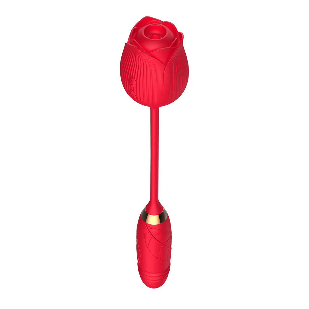 Vibrador Duplo Flexível em Silicone com 10 Tipos de Movimento de Vai e Vem e Pulsações - Vibrator | Disponível em 2 cores - 13