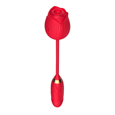 Foto 13 do produto Vibrador Duplo Flexível em Silicone com 10 Tipos de Movimento de Vai e Vem e Pulsações - Vibrator | Disponível em 2 cores