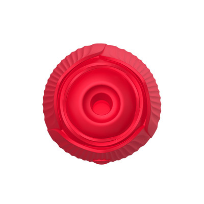 Foto 14 do produto Vibrador Duplo Flexível em Silicone com 10 Tipos de Movimento de Vai e Vem e Pulsações - Vibrator | Disponível em 2 cores