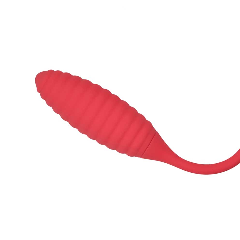 Vibrador Duplo Recarregável com 10 Modos de Estimulação e 10 Tipos de Pulsações - Pleasure Dreams | 9,5 x 3,6 cm - 2