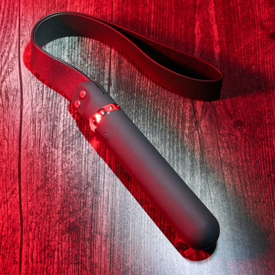 Foto 2 do produto Vibrador Personal Recarregável com 9 Modos de Vibração e Chicote em Couro Sintético - Adam & Eve The Spank Me Vibe | 11,8 x 3 cm
