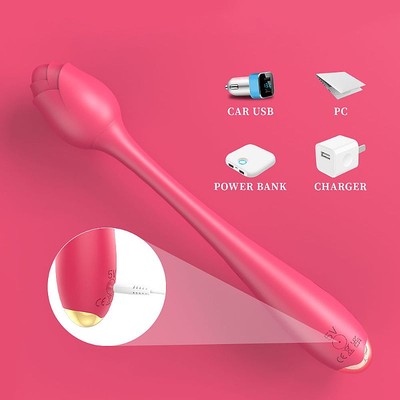 Foto 5 do produto Vibrador de Ponto G Recarregável em Silicone com 9 Modos de Vibrações - S-hande Lostus | 21,3 x 3,2 cm