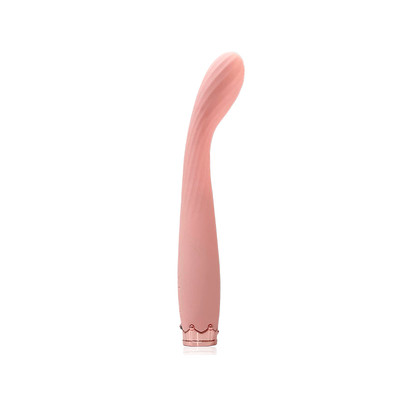 Foto 2 do produto Vibrador de Ponto G em Silicone com 10 Modos de Vibração, Resistente à Água e Carregamento Via Cabo USB - Vibrator | 13,2 x 2,3 cm