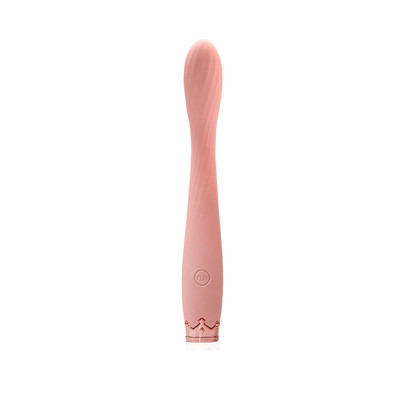 Foto 3 do produto Vibrador de Ponto G em Silicone com 10 Modos de Vibração, Resistente à Água e Carregamento Via Cabo USB - Vibrator | 13,2 x 2,3 cm