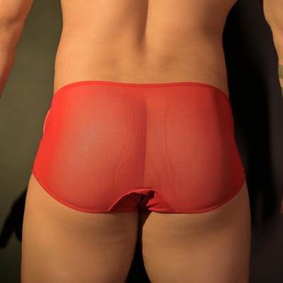 Cueca Elefante - Exclusiva Lingerie | Disponível em 3 Tamanhos