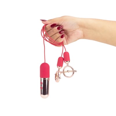 Grampos para Mamilos com 9 Modos de Vibração, Controle Remoto com Fio e Recarregável - S-Hande Forbidden Lock