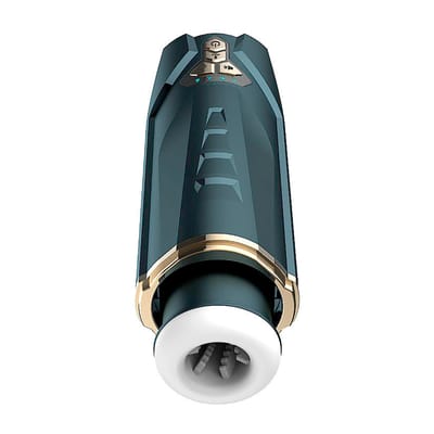 Miniatura 9