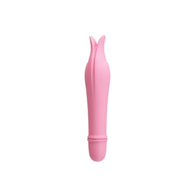 Miniatura 13