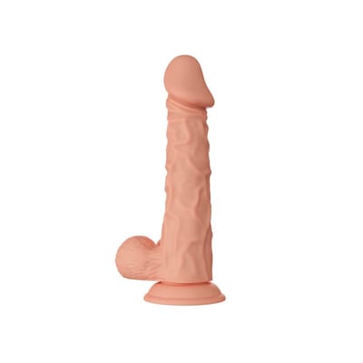 Miniatura 6