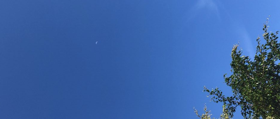 Novembro Azul
