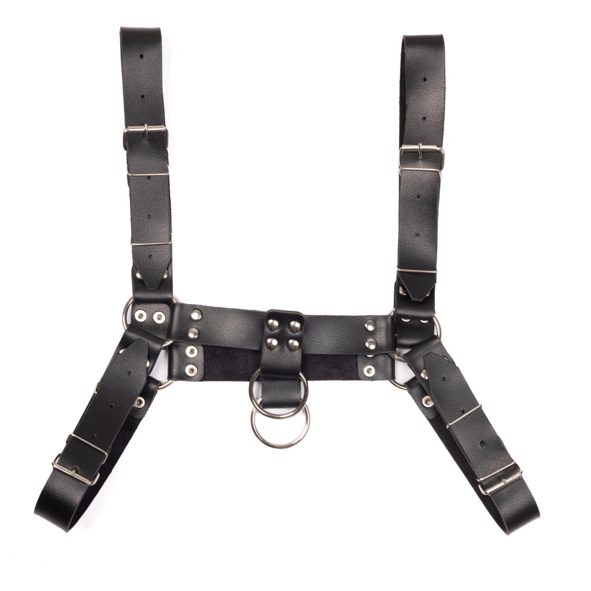 Arreio Masculino Maximus com Fivelas Ajustáveis, Argolas e Rebites - New Star Couros - 2