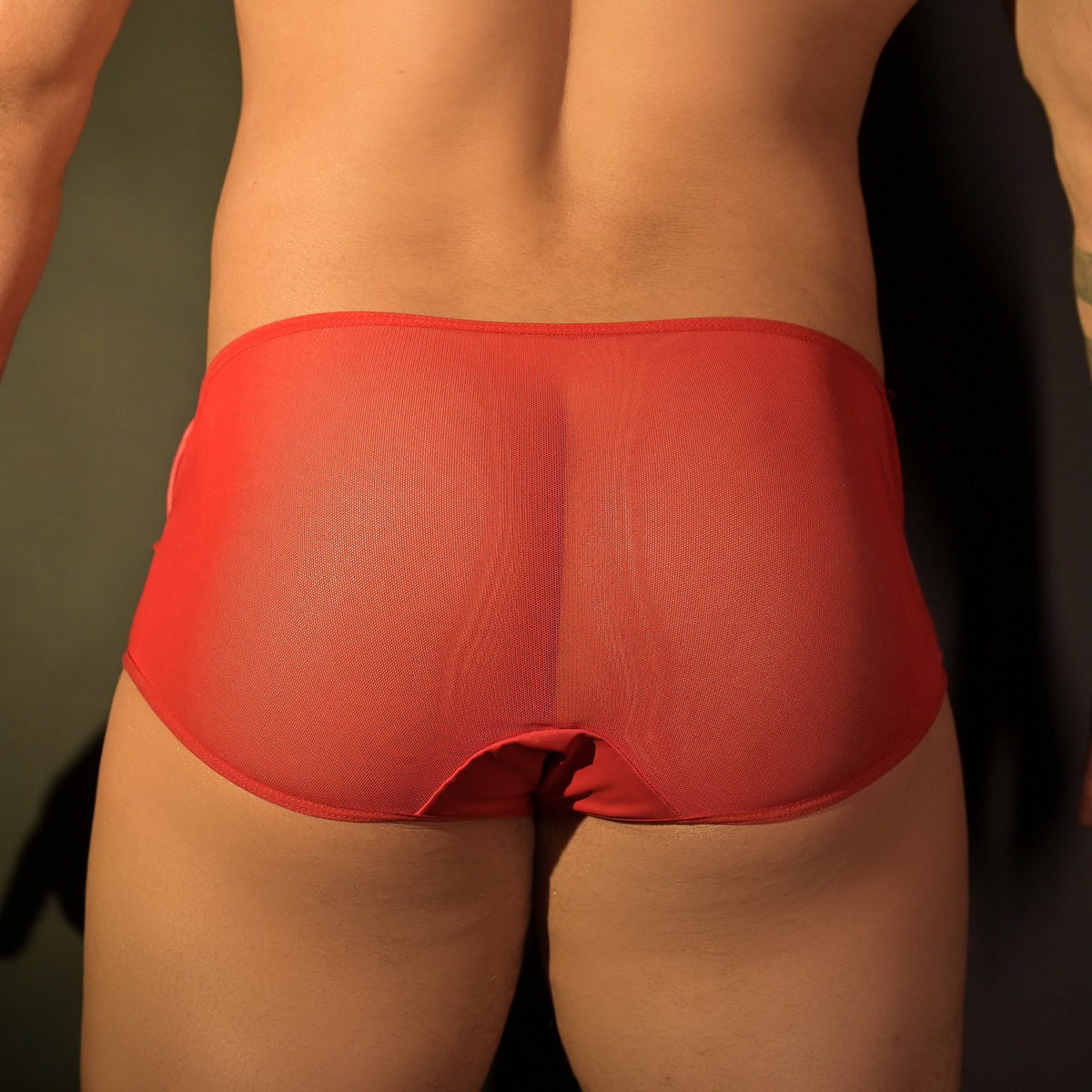 Cueca Elefante - Exclusiva Lingerie | Disponível em 3 Tamanhos - 3
