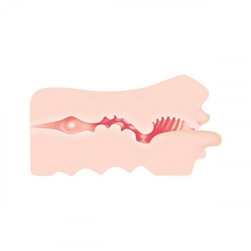 Masturbador que Simula Sexo Oral com Texturas Interna em TPE e Anel Peniano Duplo em Silicone - Zero Tolerance Real Mouth Stroker | 15 x 3 cm - 3
