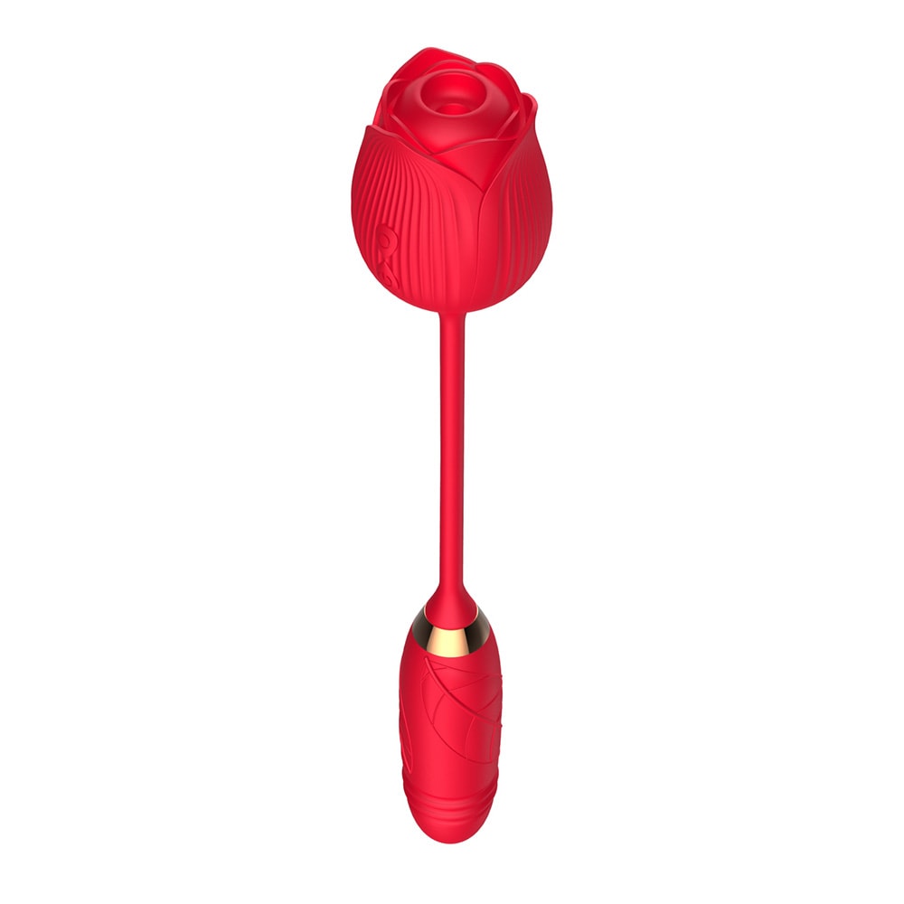 Vibrador Duplo Flexível em Silicone com 10 Tipos de Movimento de Vai e Vem e Pulsações - Vibrator | Disponível em 2 cores - 13