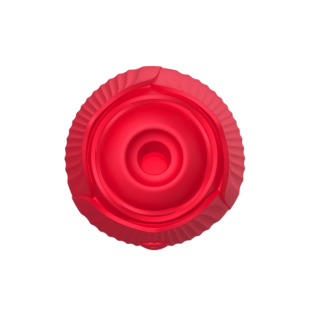 Vibrador Duplo Flexível em Silicone com 10 Tipos de Movimento de Vai e Vem e Pulsações - Vibrator | Disponível em 2 cores - 14