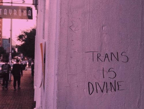 Visibilidade trans: expanda suas referências!