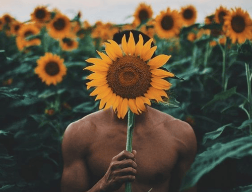 Prazer Masculino: confira os segredos do orgasmo da próstata