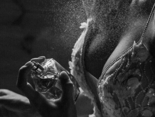 Perfume: importância para atração sexual e outros benefícios